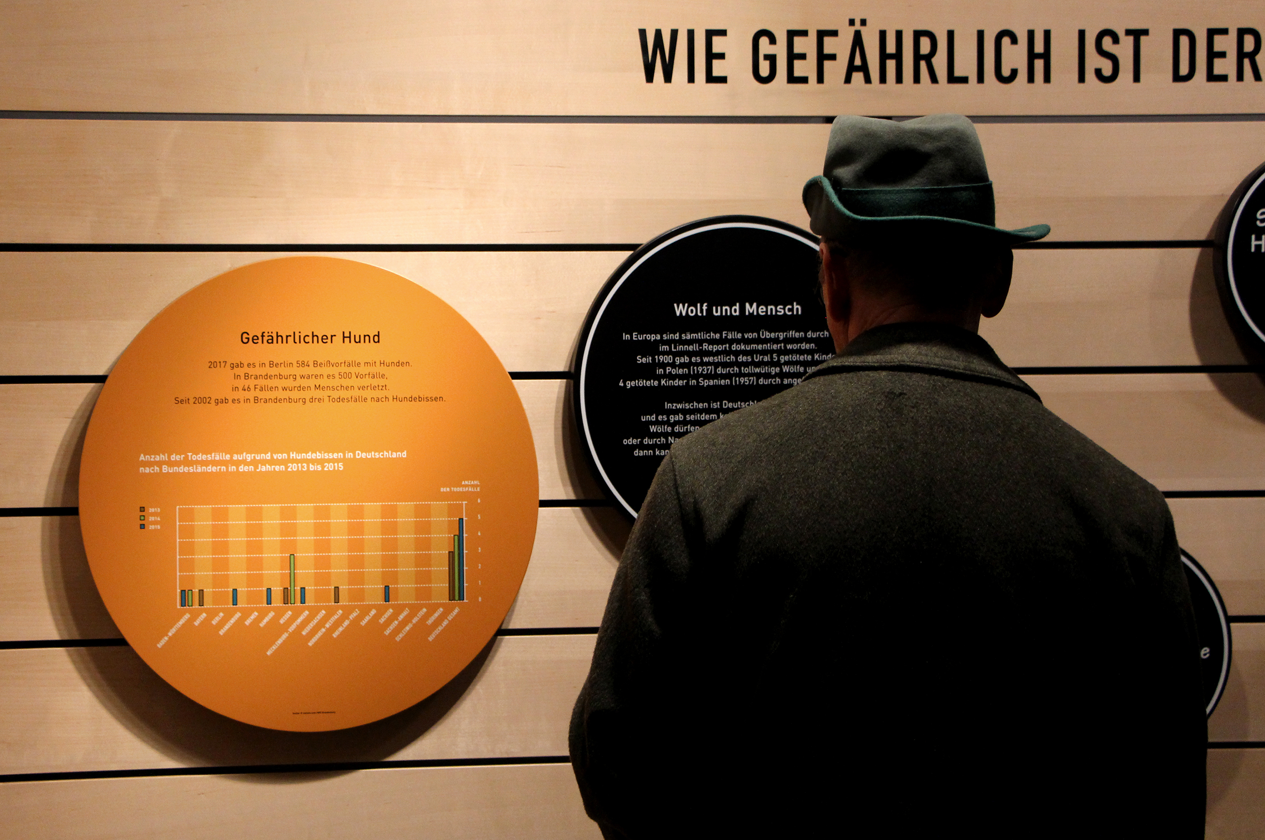 Ein Besucher steht vor der Ausstellungswand zum Thema "Wie gefährlich ist der Wolf"? Eine Statistik zeigt die Anzahl der Todesfälle aufgrund von Hundebissen in Deutschland.