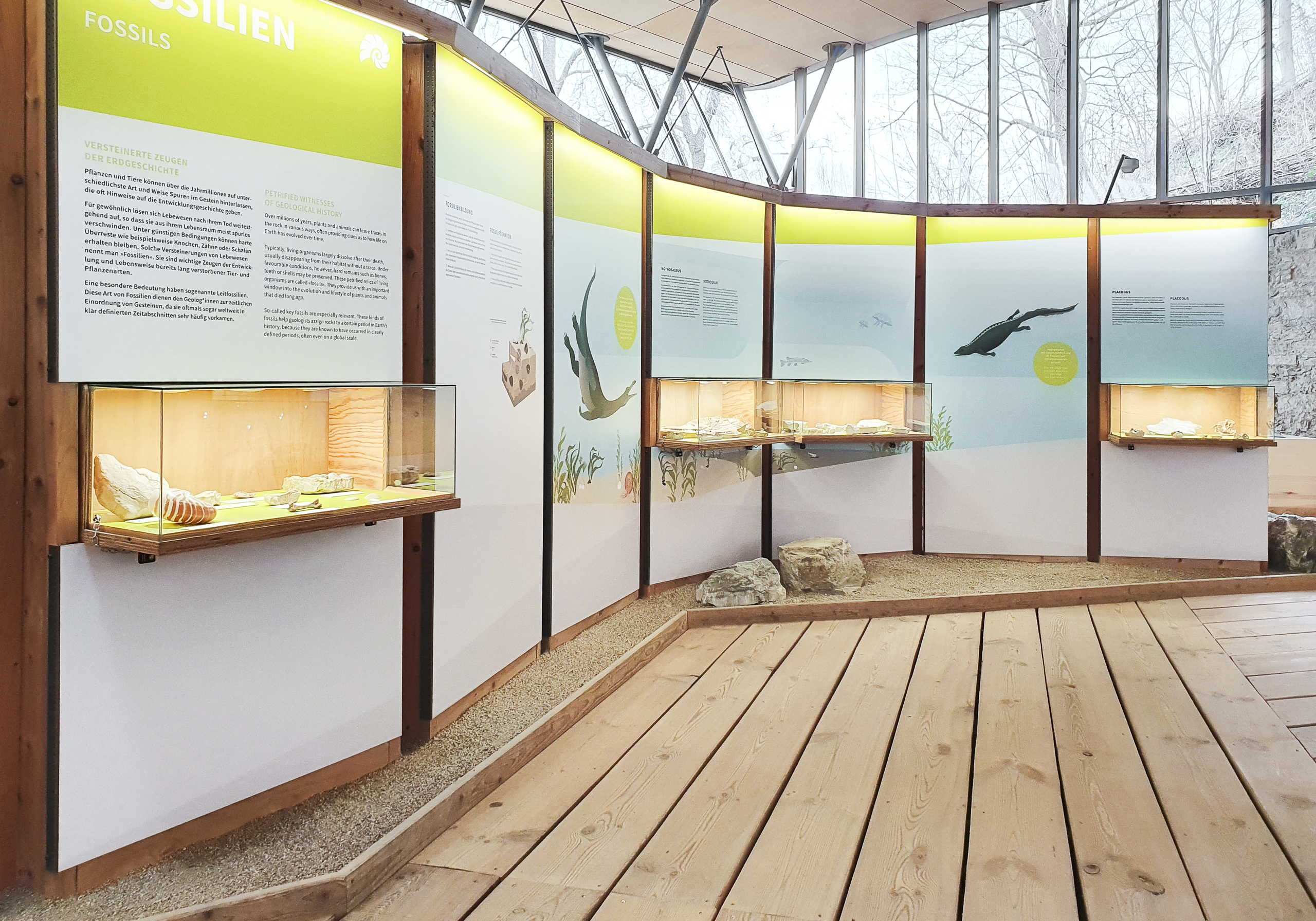 Mehrere beleuchtete Vitrinen mit Fossilien, die Wände sind mit Texttafeln und Illustrationen von prähistorischen Tieren in hellen Farben gestaltet.