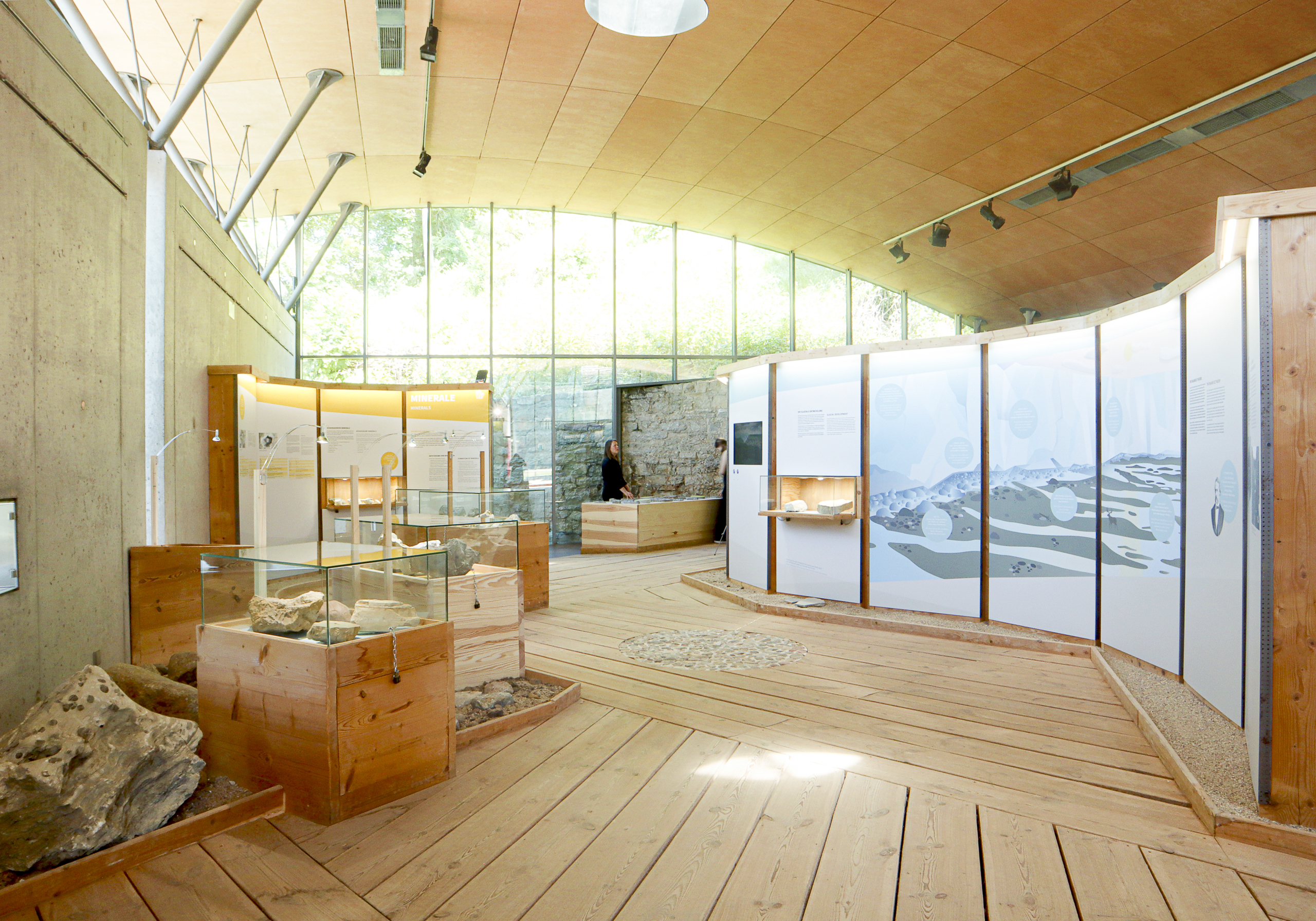 Blick in die Ausstellung mit großen Fenstern, Holzfußboden und Vitrinen mit Fossilien und Infotafeln an den Wänden.