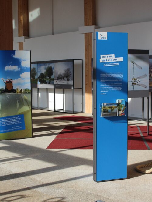 Ausstellung mit großformatigen Naturfotografien und Informationstafeln in einem hellen Raum mit Holzbalken und rotem Teppich